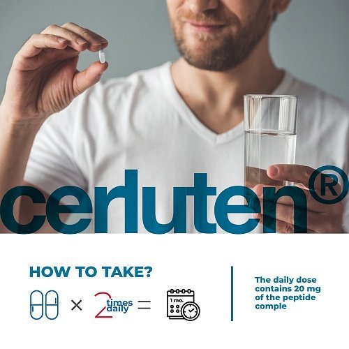 Cerluten – Havinson’s bioregulator peptides to support the nervous system and brain - Image 6