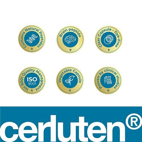 Cerluten – Havinson’s bioregulator peptides to support the nervous system and brain - Image 7