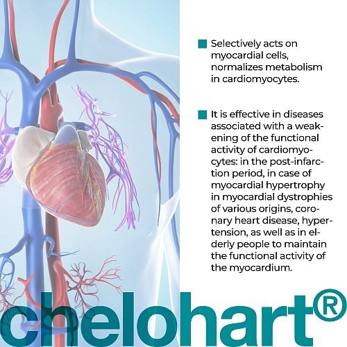 Chelohart – Peptide complex for cardiovascular support - Image 3