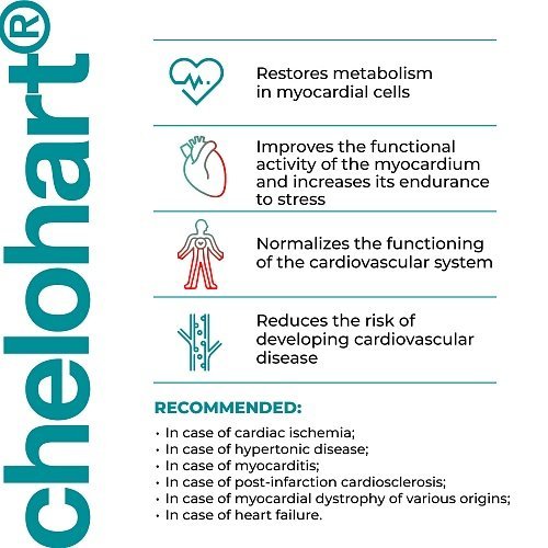 Chelohart – Peptide complex for cardiovascular support - Image 4