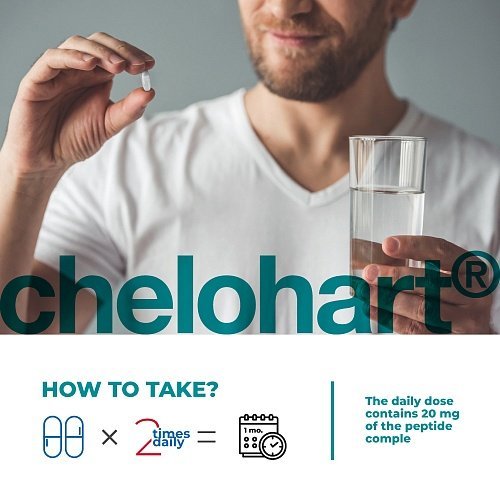 Chelohart – Peptide complex for cardiovascular support - Image 6
