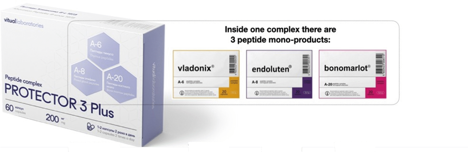 Protector 3 Plus Peptide Complex – With Endoluten, Vladonix & Bonomarlot - Image 2
