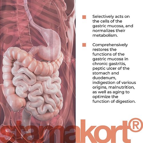 Stamakort Lingual | Стамакорт Лингвал – Усъвършенствана подкрепа за храносмилателната система | Пептиди на Хависън - Image 3