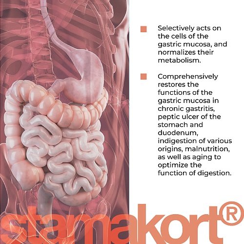 Stamakort | Стамакорт – Пептиден комплекс за подпомагане на храносмилателната система и здравето на черния дроб - Image 3