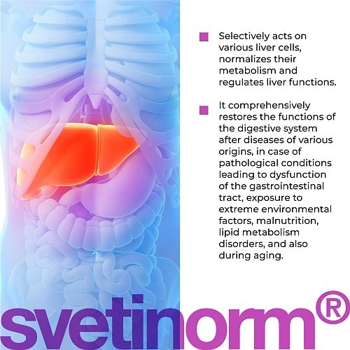 Svetinorm Lingual | Светинорм Лингвал – Подкрепа за черния дроб и храносмилателната система | Хависън биорегулатори, пептиди - Image 3